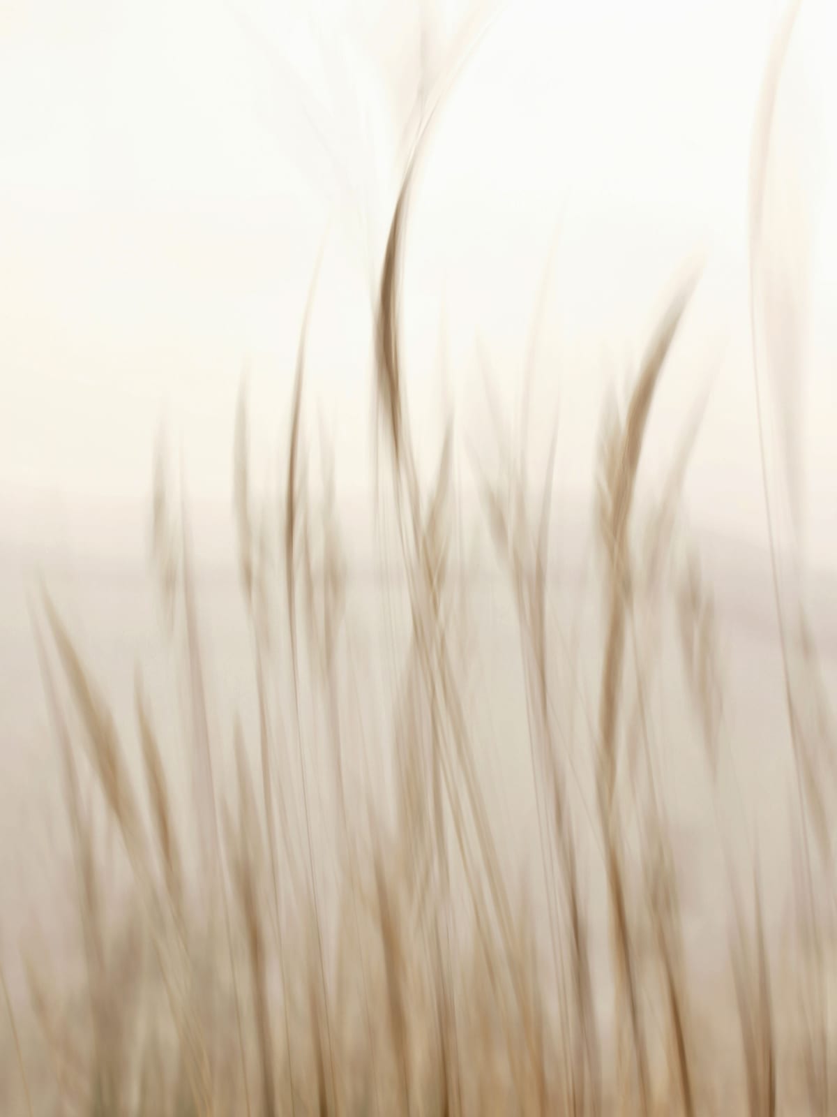 variant-30x40_no-margin