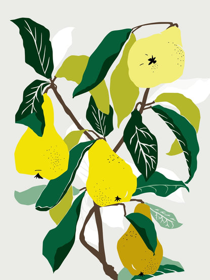 variant-30x40_no-margin