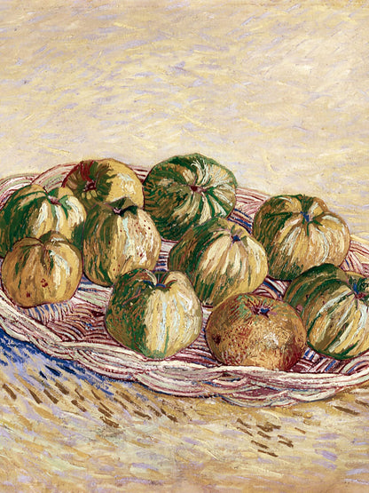 variant-30x40_no-margin