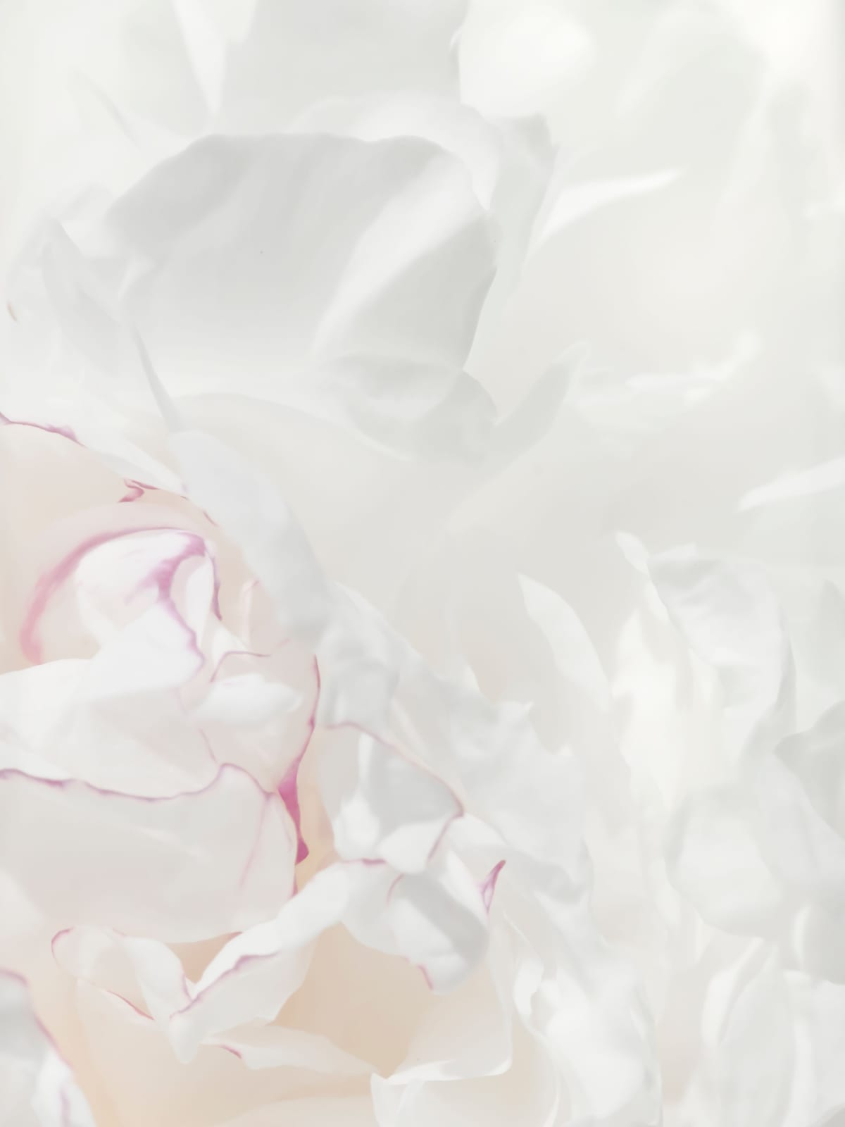 variant-30x40_no-margin