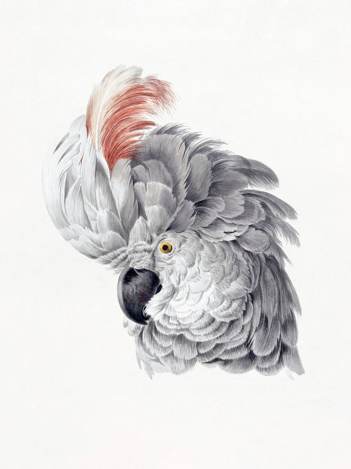 variant-30x40_no-margin