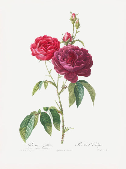 variant-30x40_no-margin
