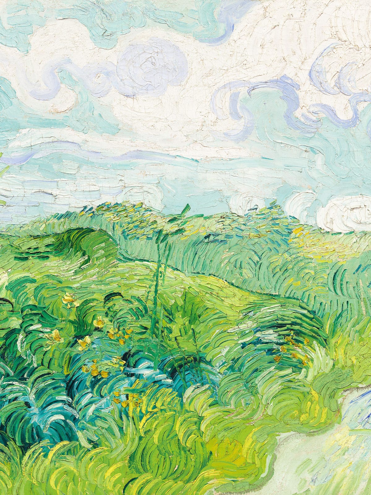 variant-30x40_no-margin
