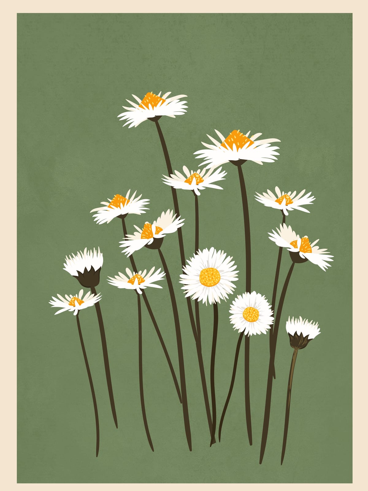 variant-30x40_no-margin