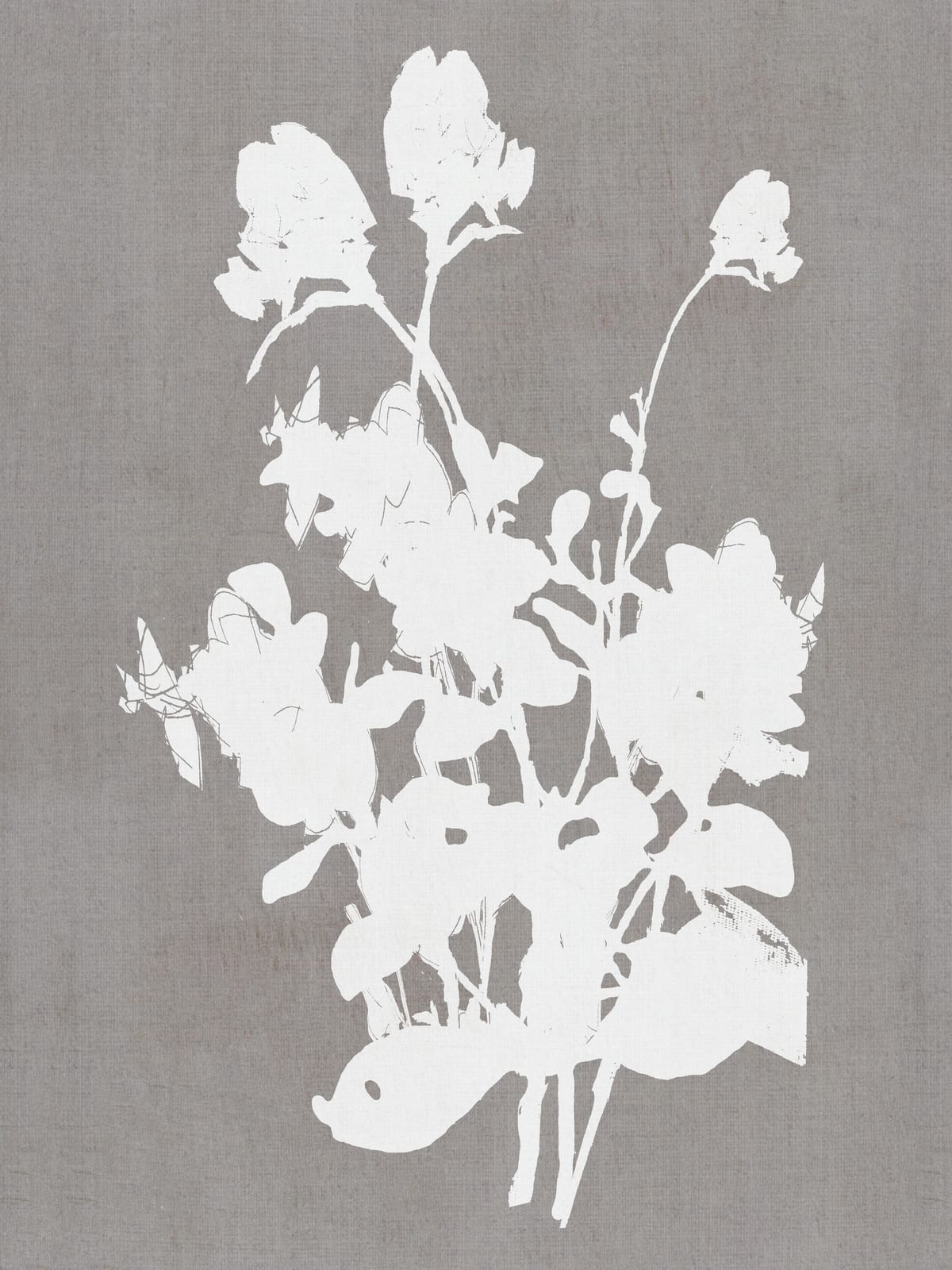 variant-30x40_no-margin