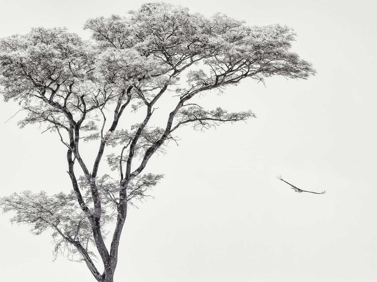 variant-30x40_no-margin