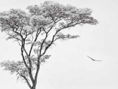variant-30x40_no-margin