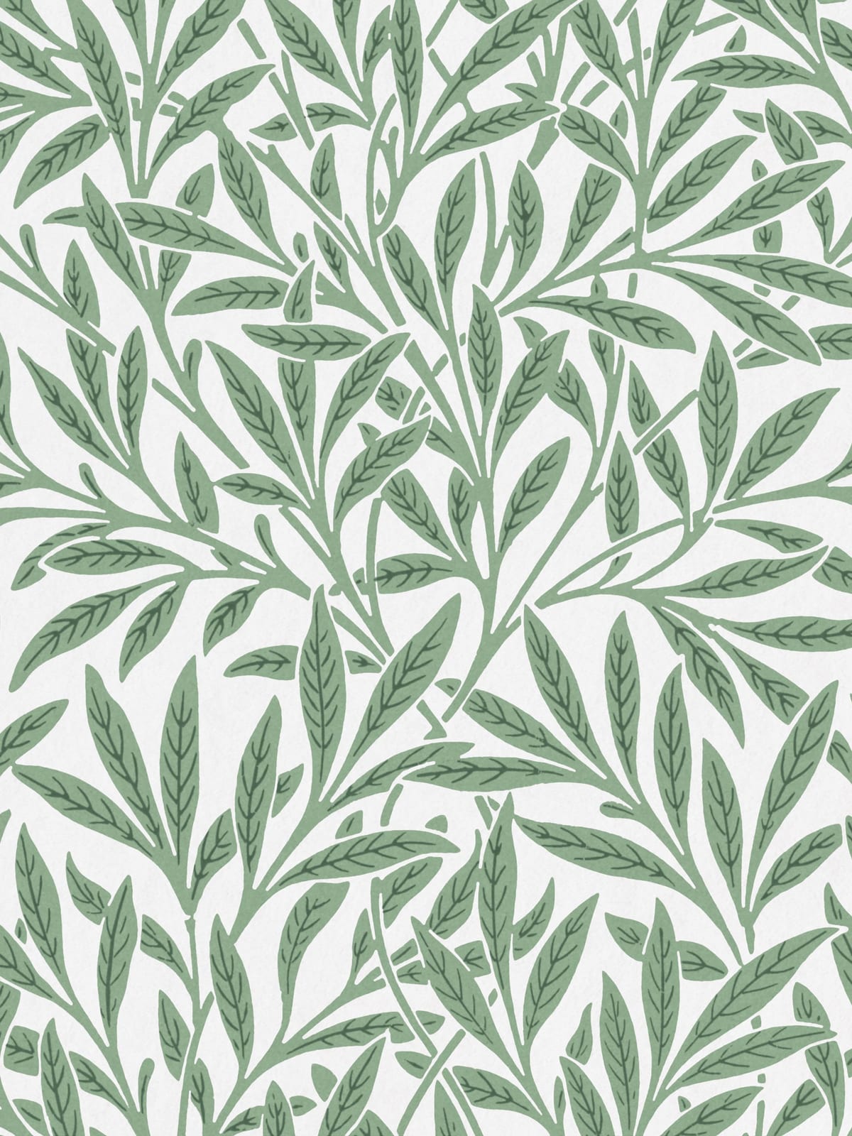 variant-30x40_no-margin