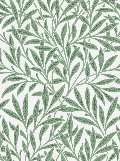 variant-30x40_no-margin