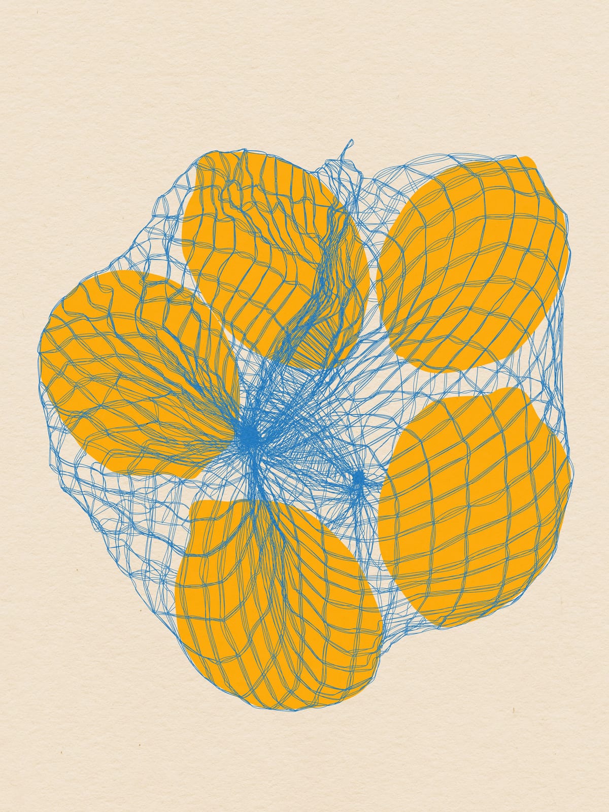 variant-30x40_no-margin