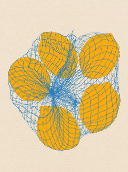 variant-30x40_no-margin