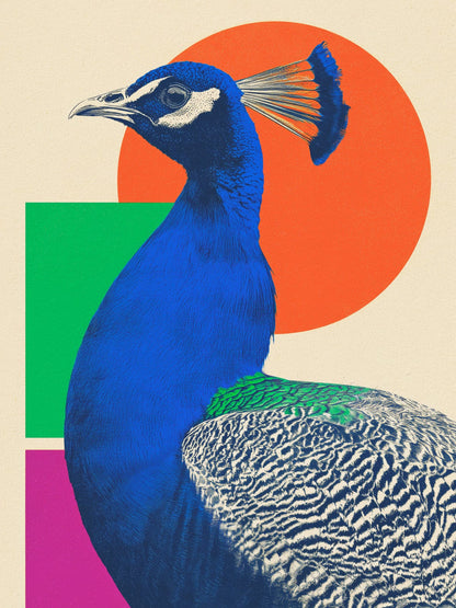 variant-30x40_no-margin
