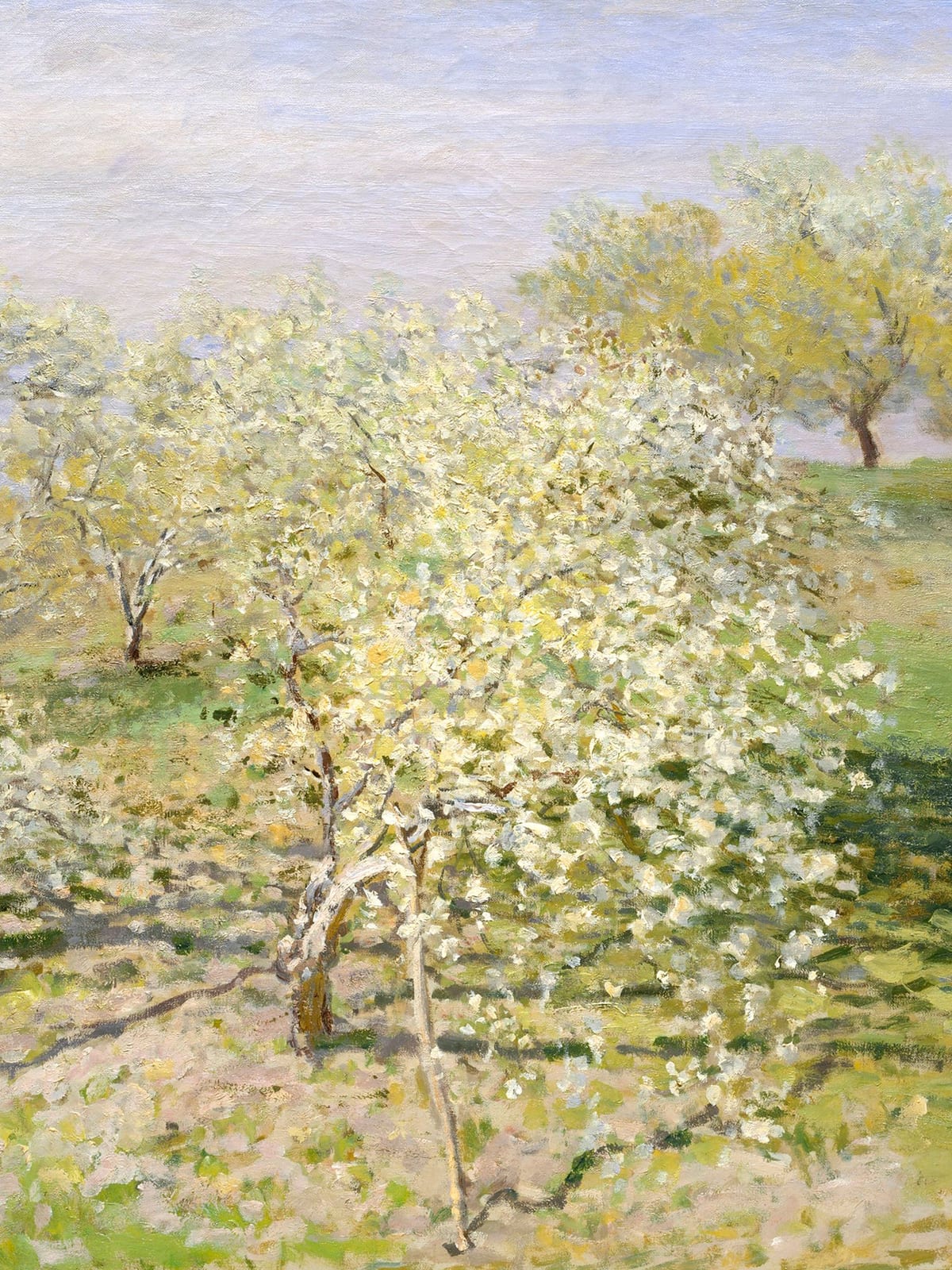 variant-30x40_no-margin