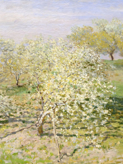 variant-30x40_no-margin