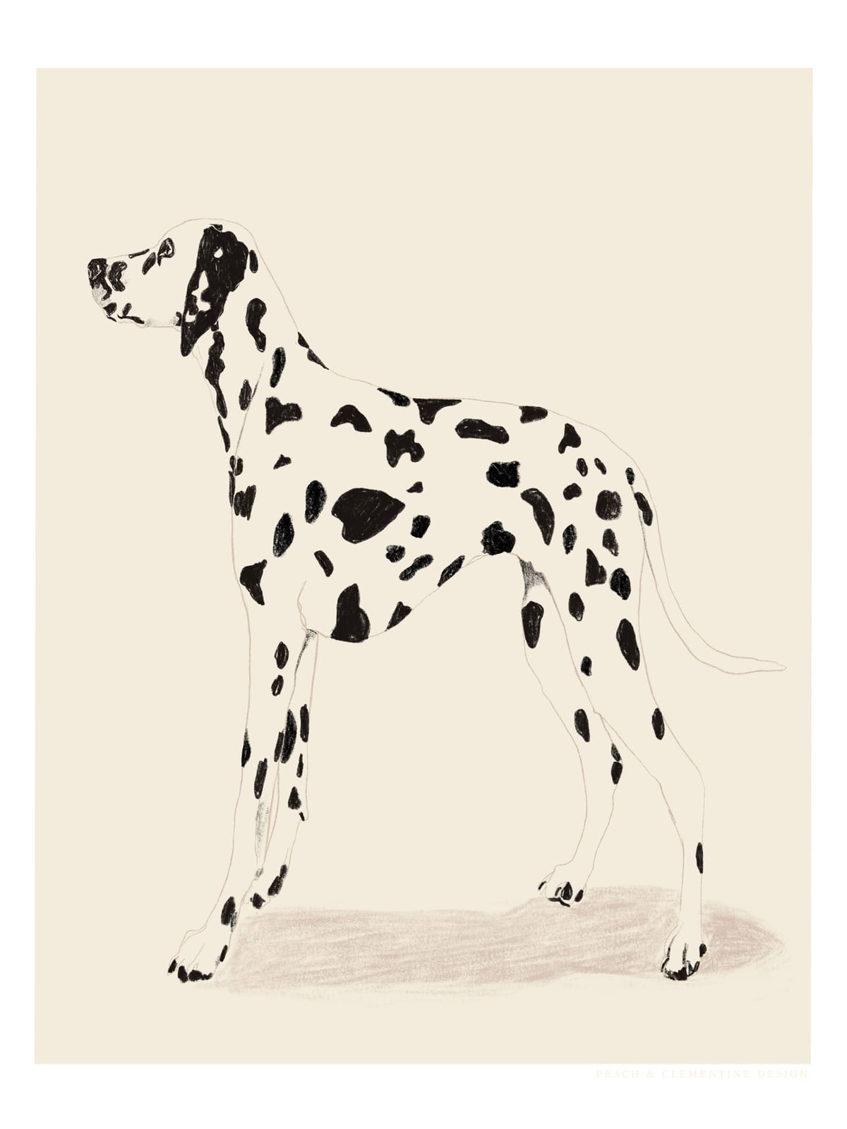 variant-30x40_no-margin