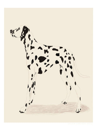 variant-30x40_no-margin