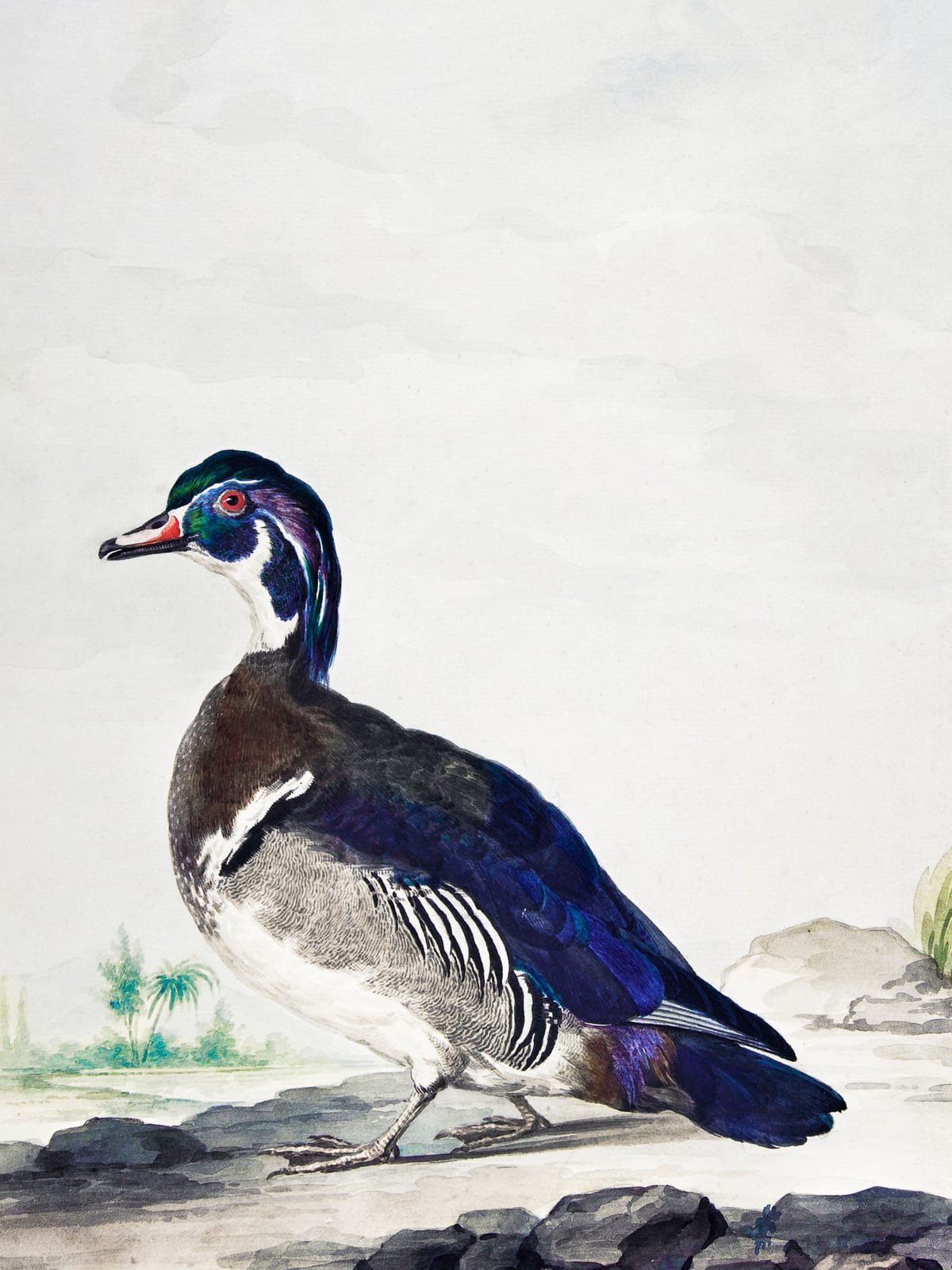 variant-30x40_no-margin
