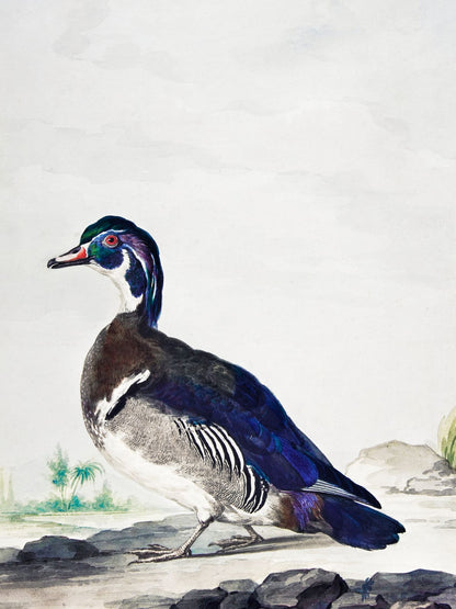 variant-30x40_no-margin