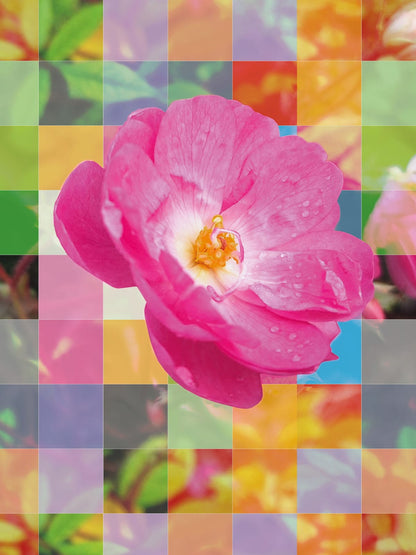 variant-30x40_no-margin