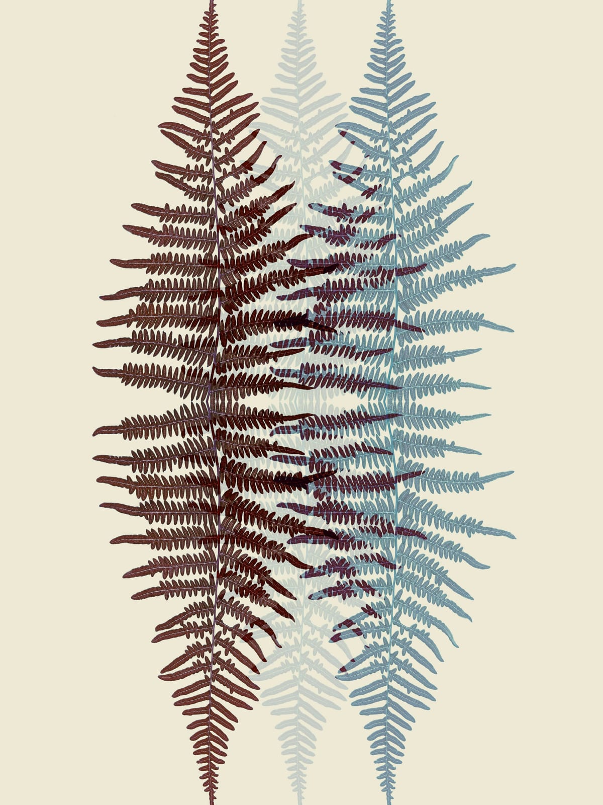 variant-30x40_no-margin