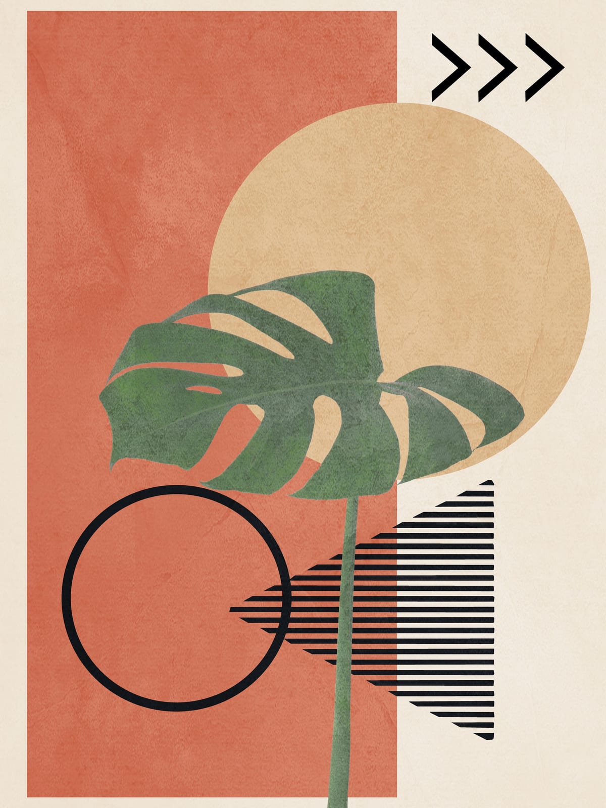 variant-30x40_no-margin