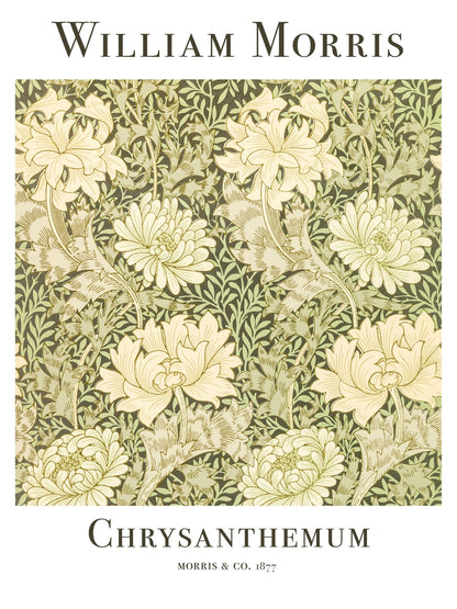 variant-30x40_no-margin