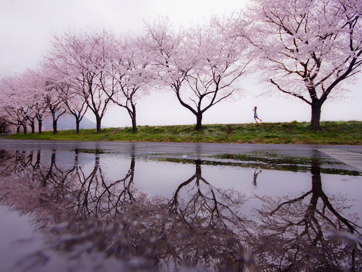variant-30x40_no-margin