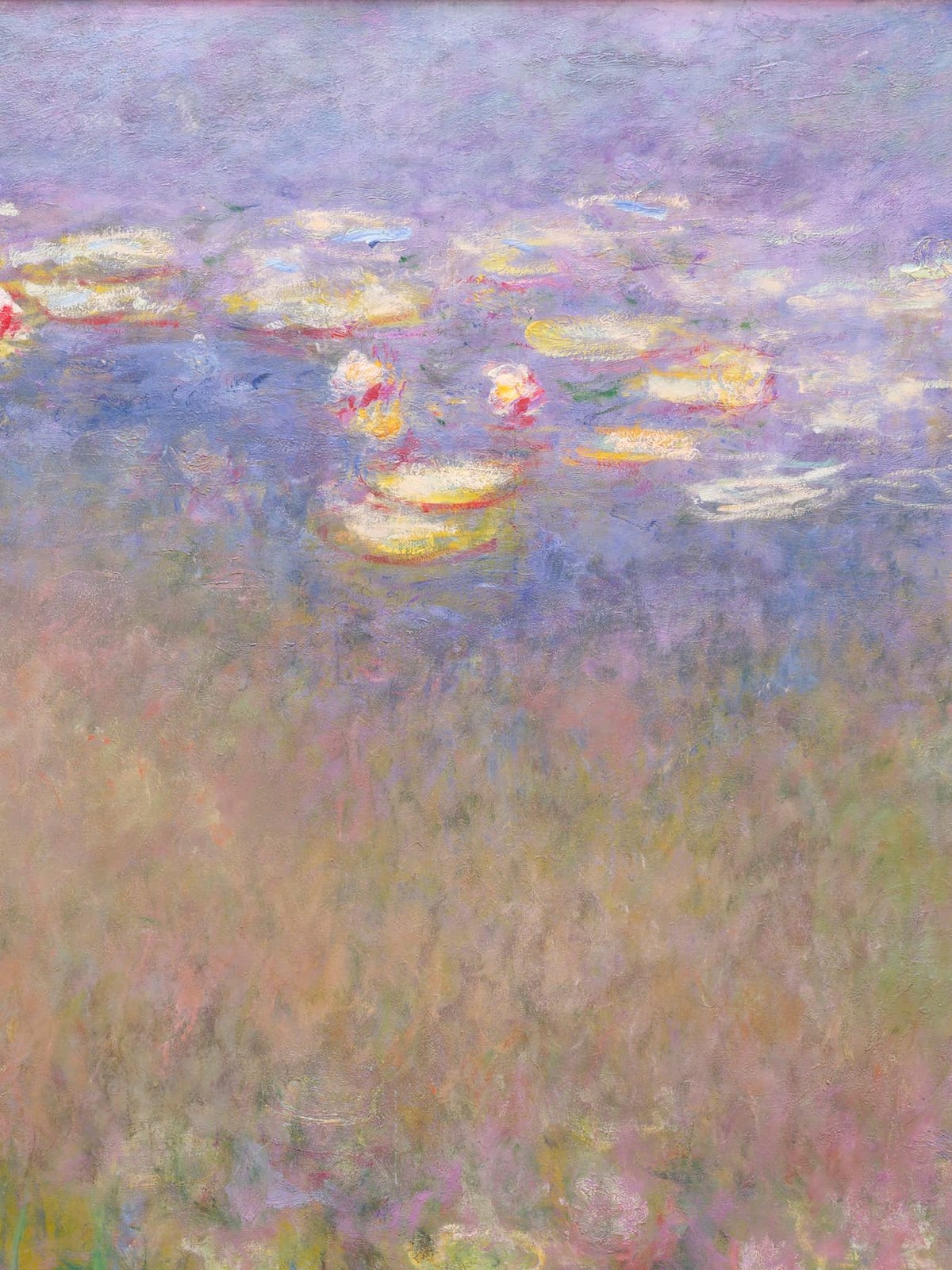variant-30x40_no-margin