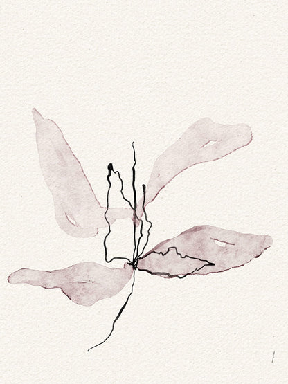 variant-30x40_no-margin