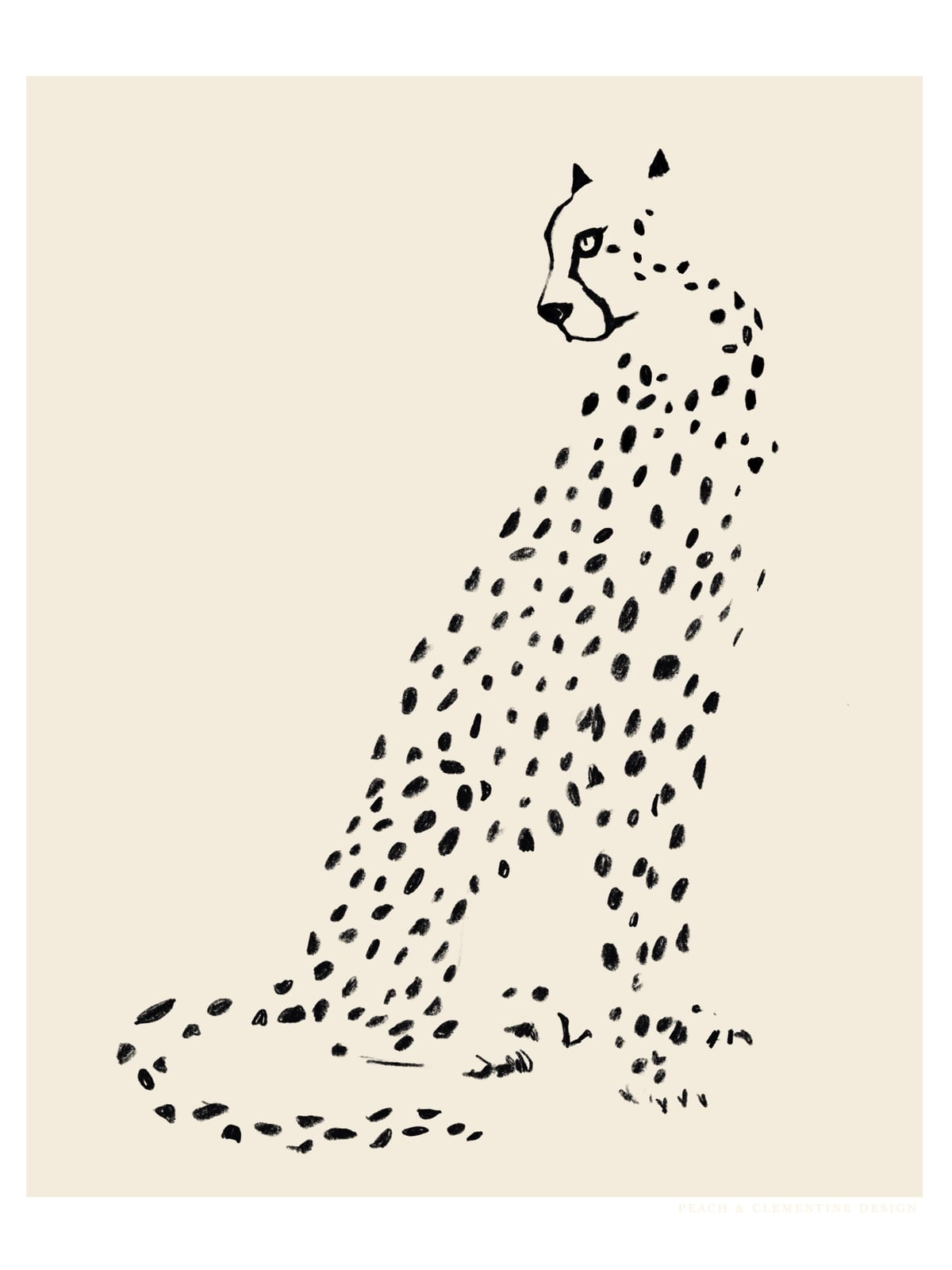variant-30x40_no-margin