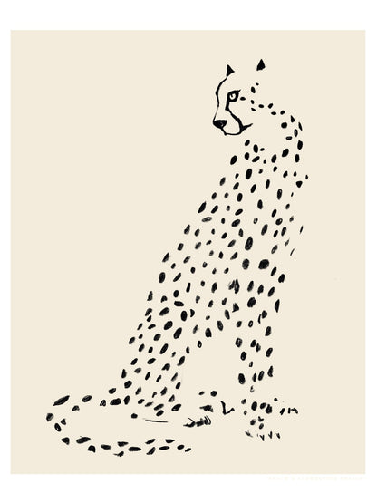 variant-30x40_no-margin