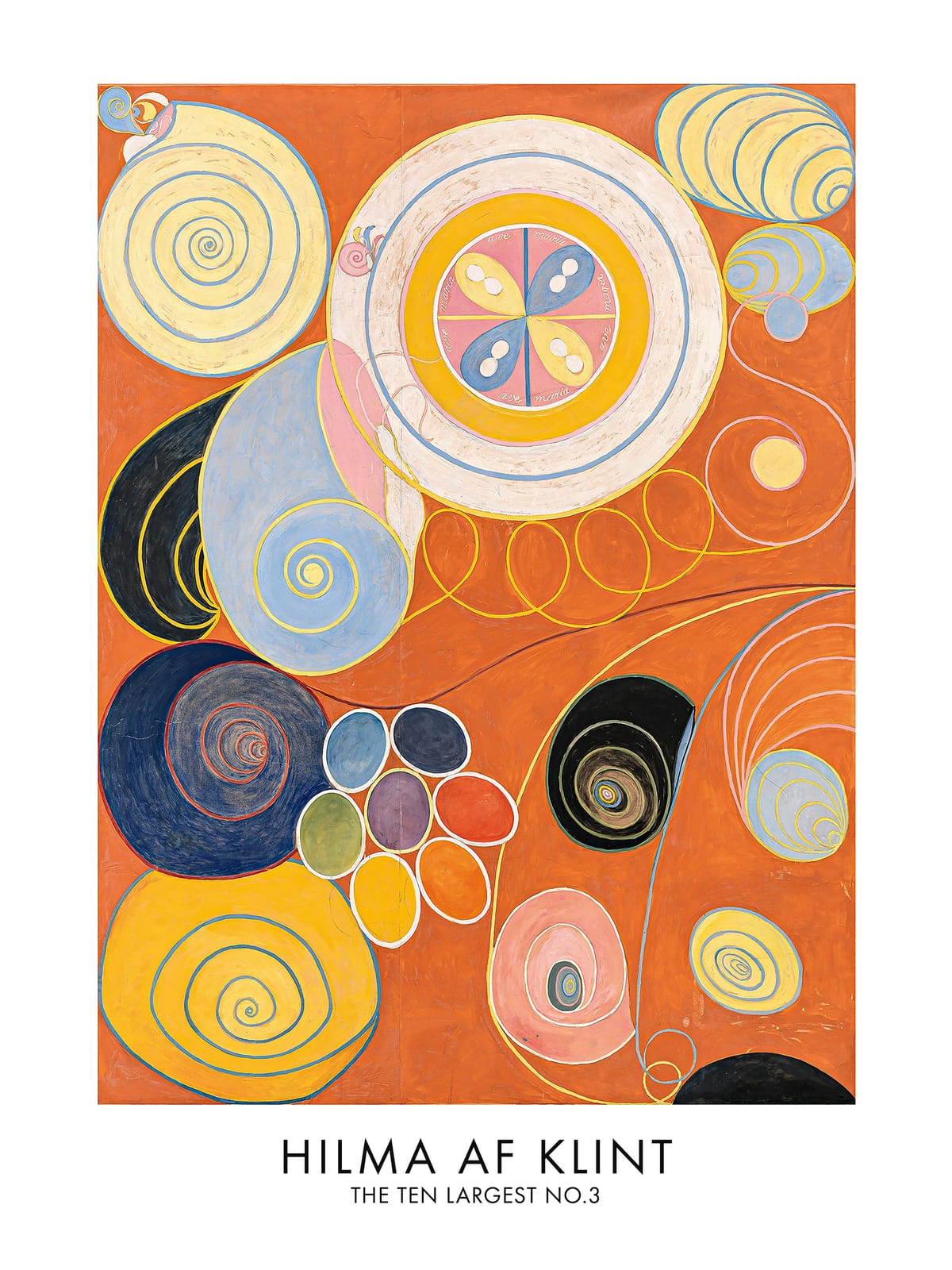 variant-30x40_no-margin