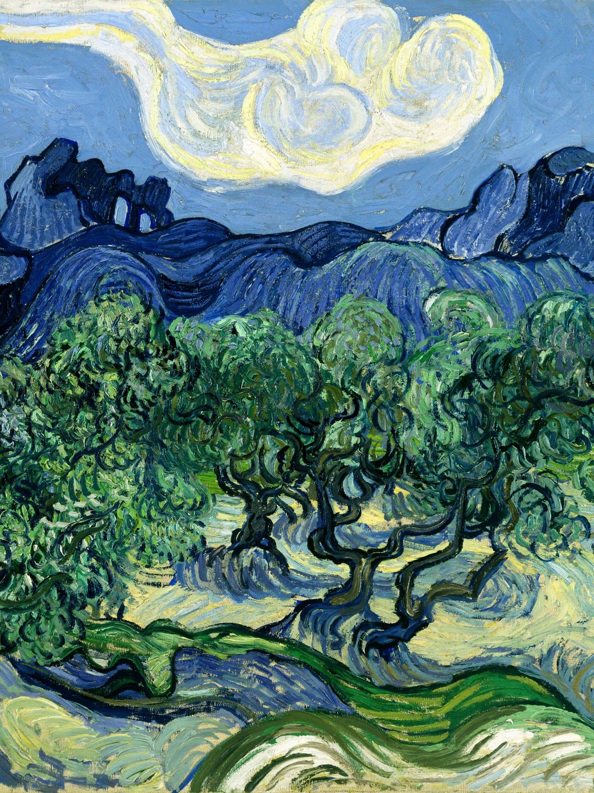 variant-30x40_no-margin