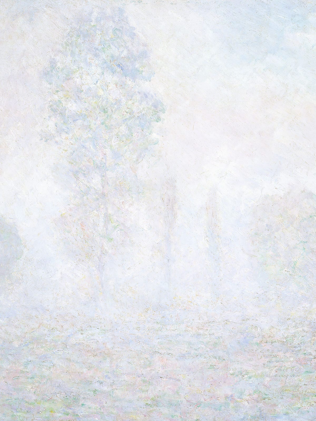 variant-30x40_no-margin