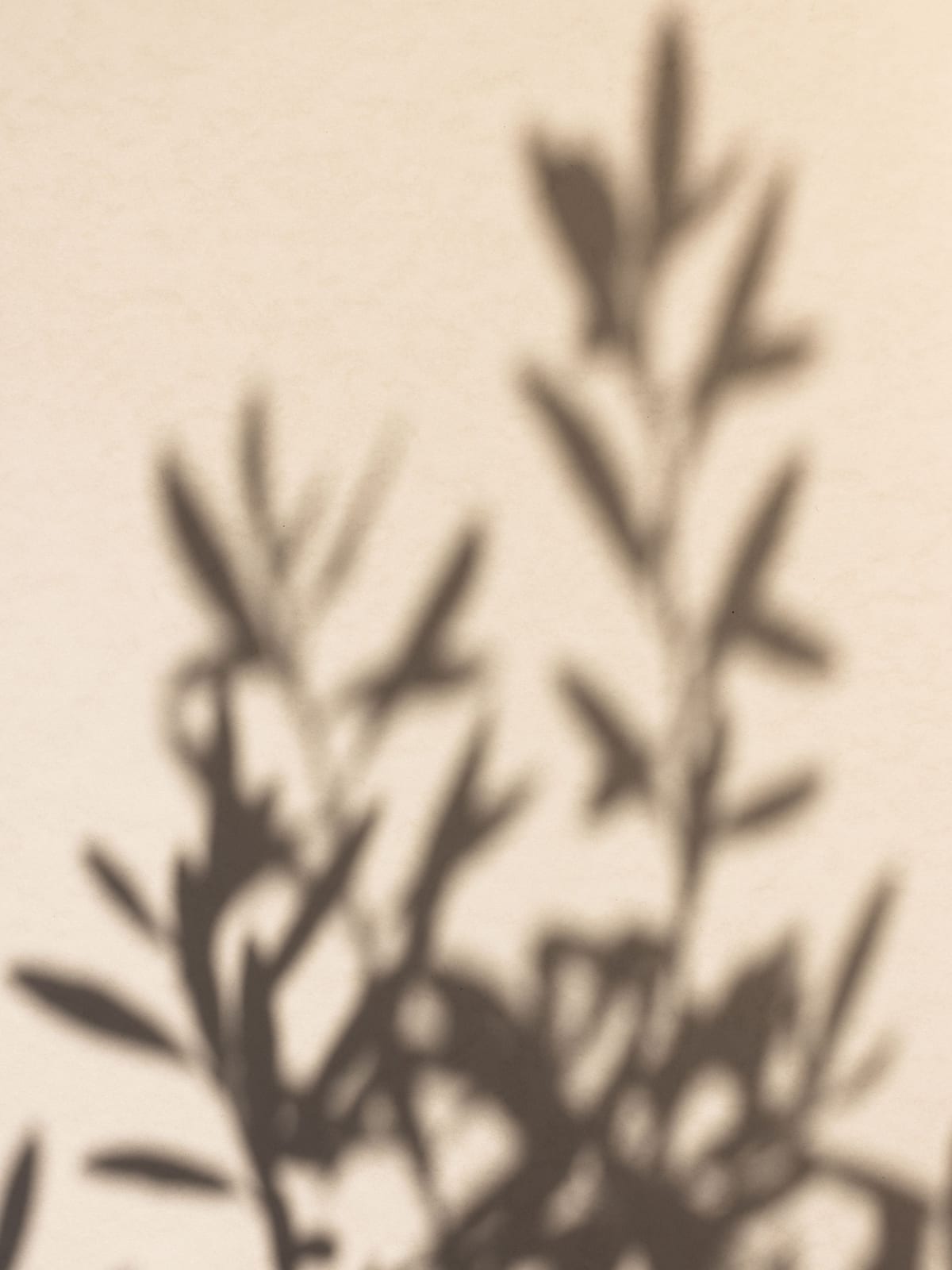 variant-30x40_no-margin