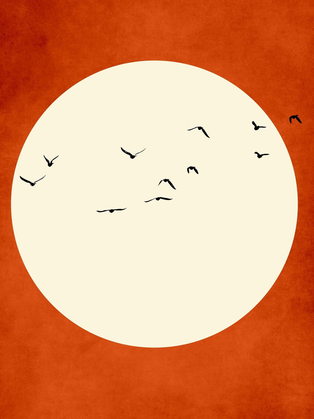 variant-30x40_no-margin