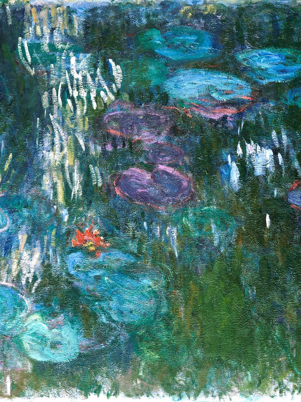 variant-30x40_no-margin