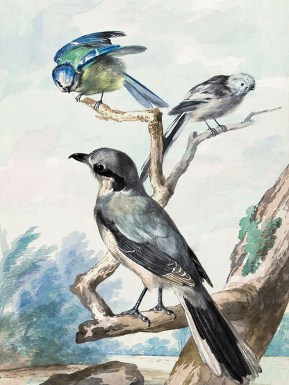 variant-30x40_no-margin