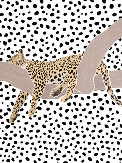 variant-30x40_no-margin