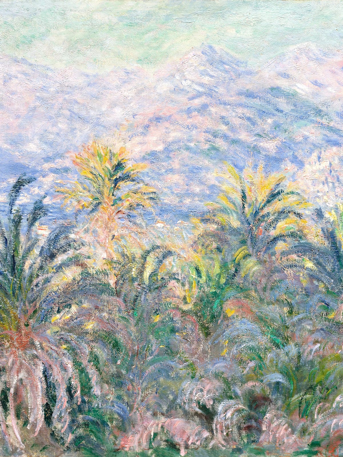 variant-30x40_no-margin