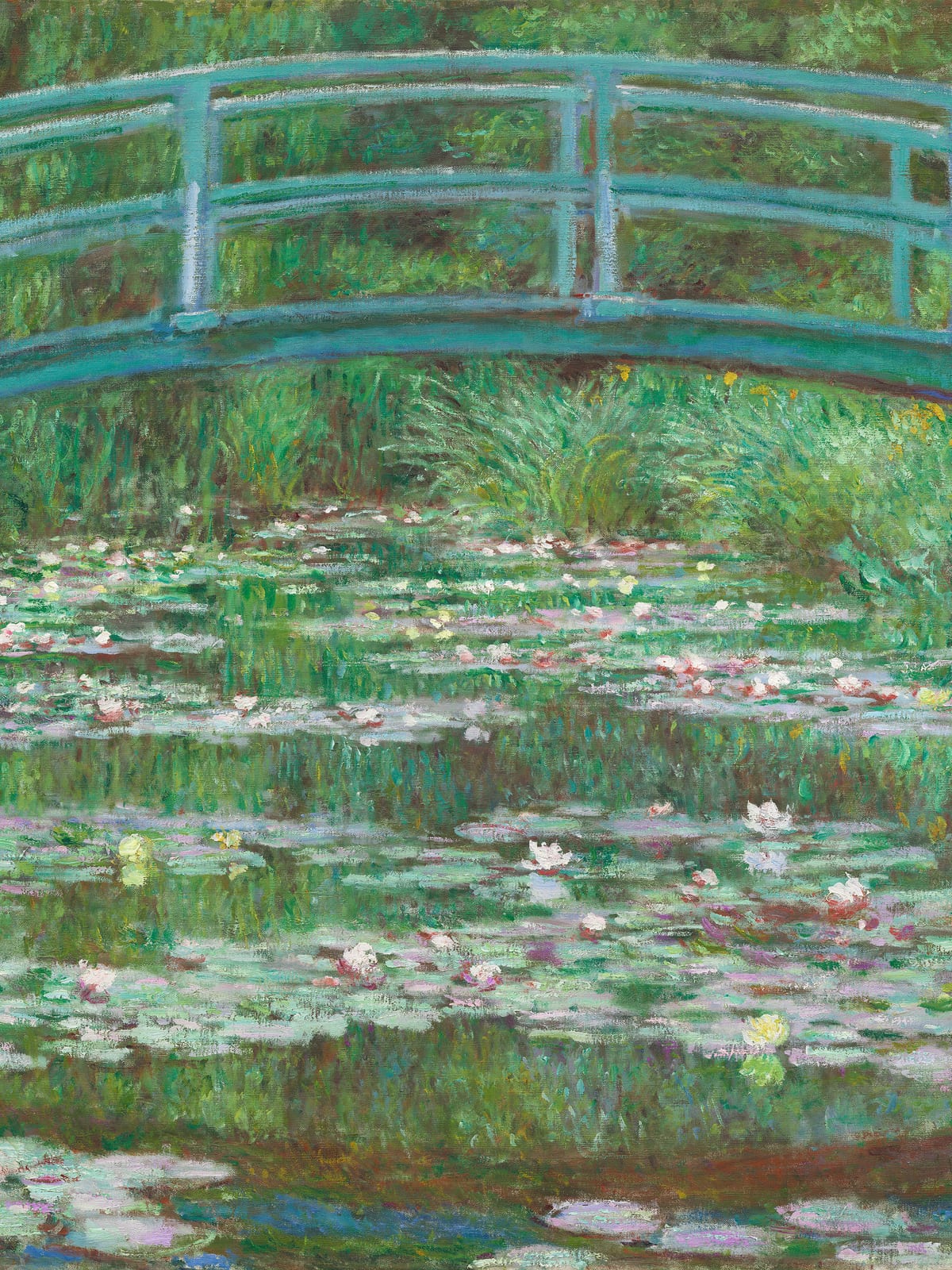 variant-30x40_no-margin