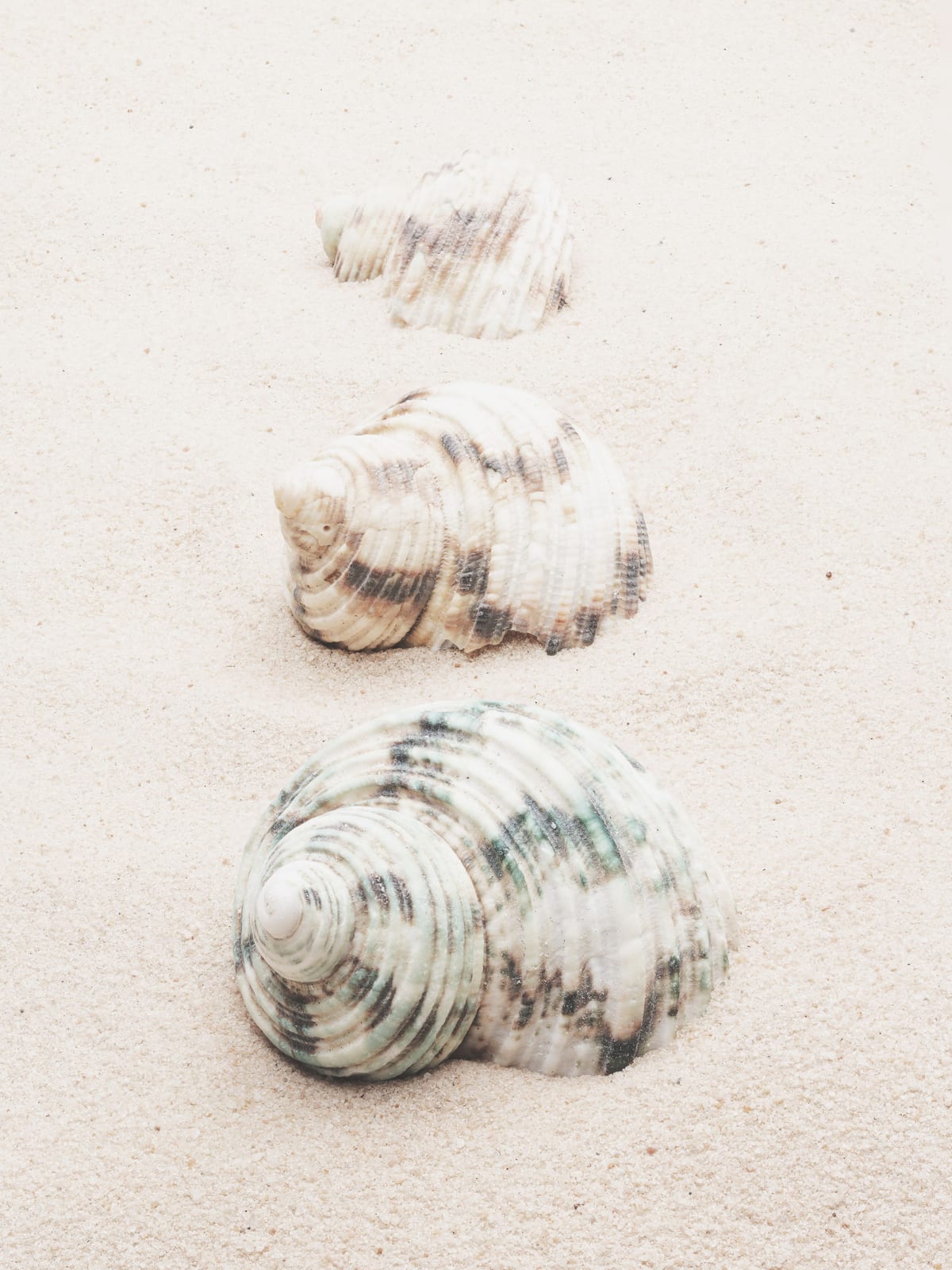 variant-30x40_no-margin