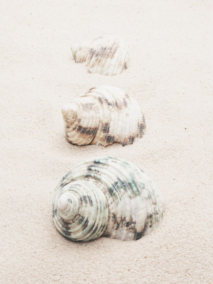 variant-30x40_no-margin