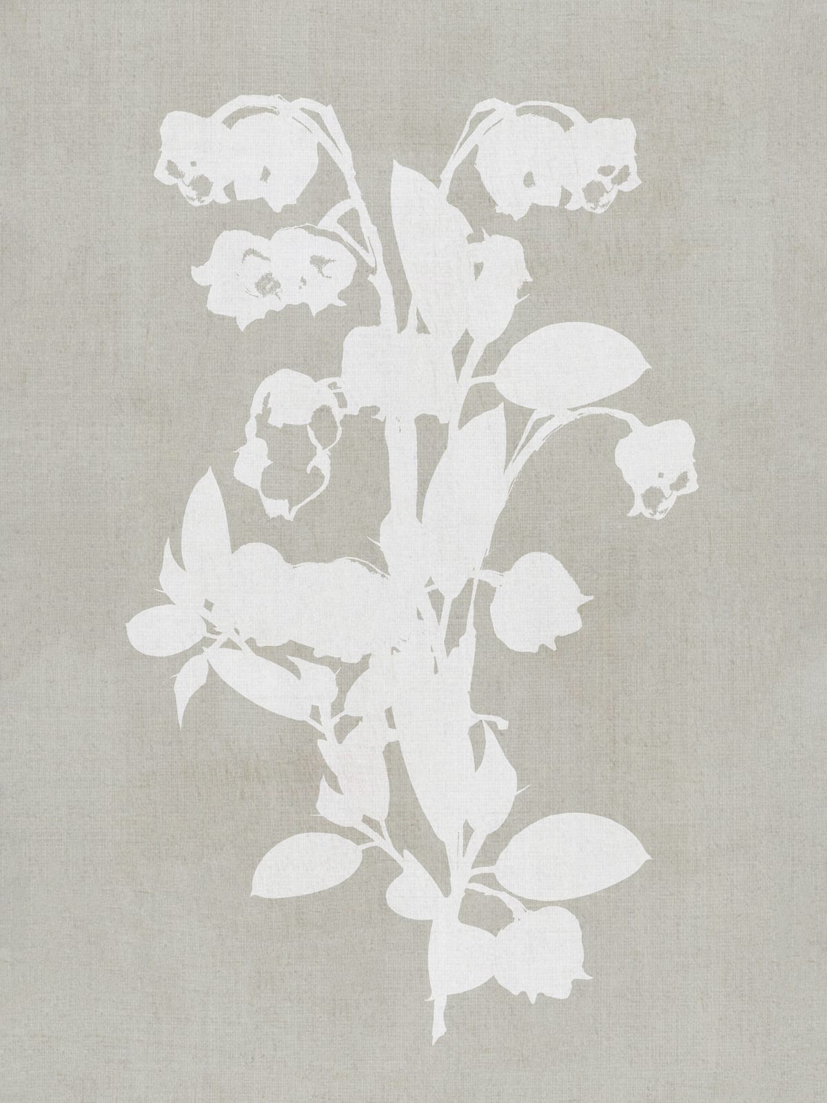 variant-30x40_no-margin