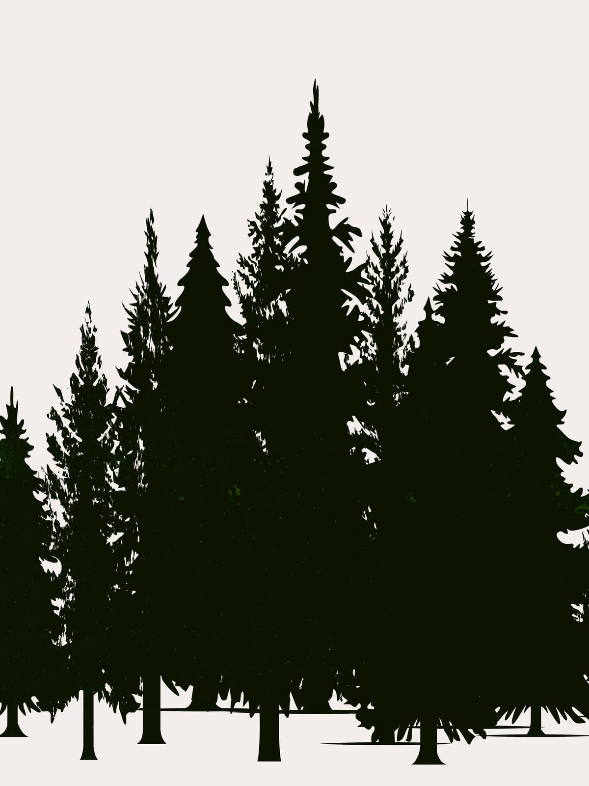 variant-30x40_no-margin