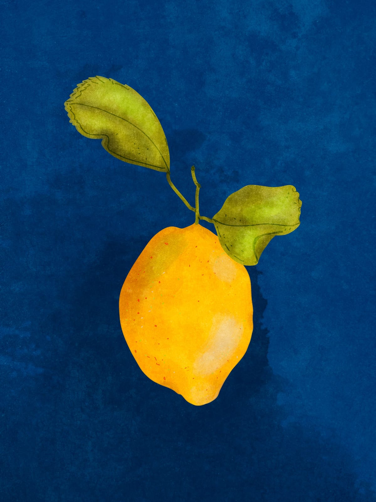variant-30x40_no-margin