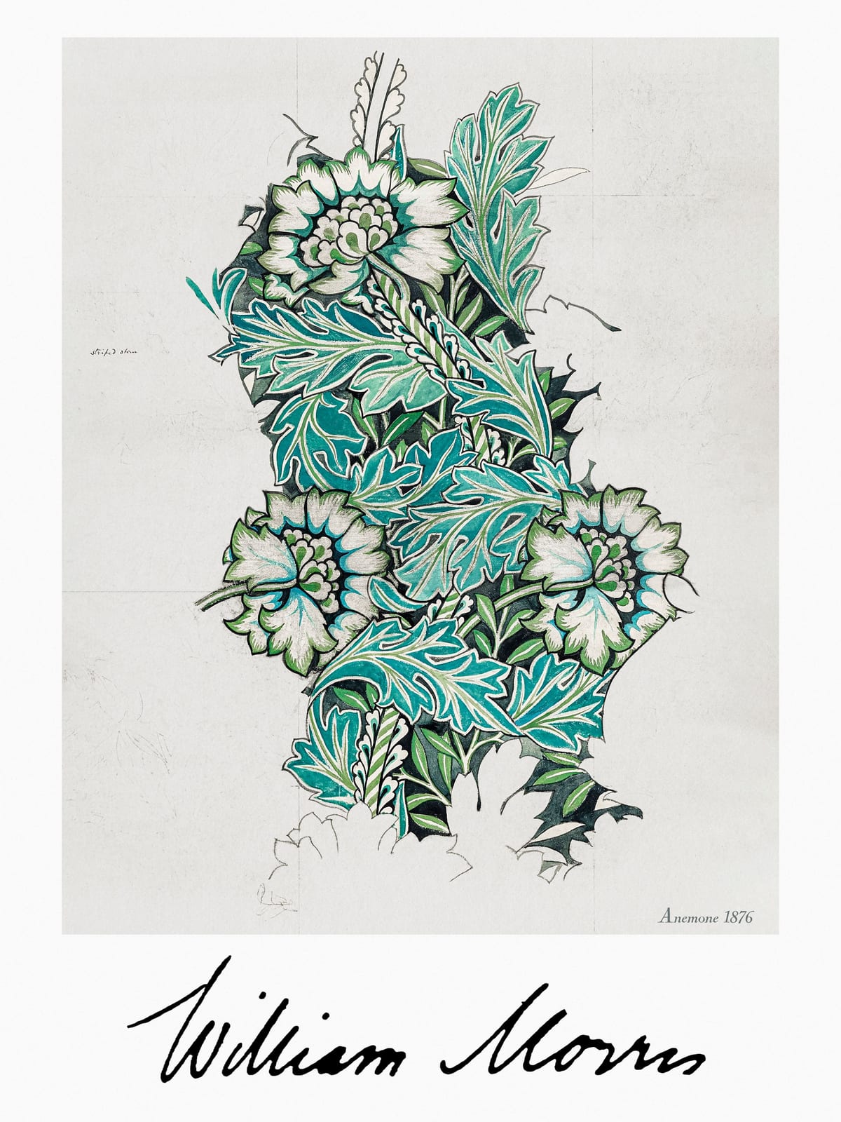variant-30x40_no-margin
