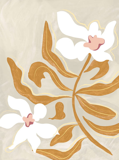 variant-30x40_no-margin