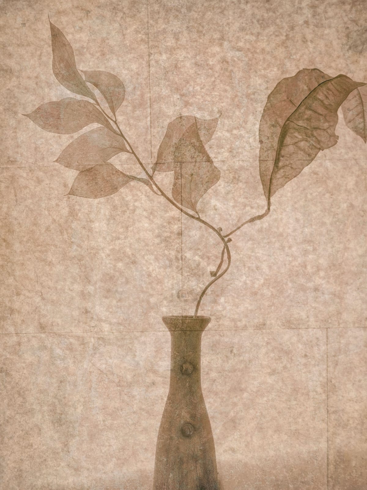 variant-30x40_no-margin