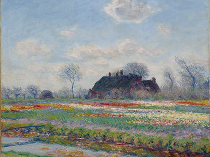 variant-30x40_no-margin